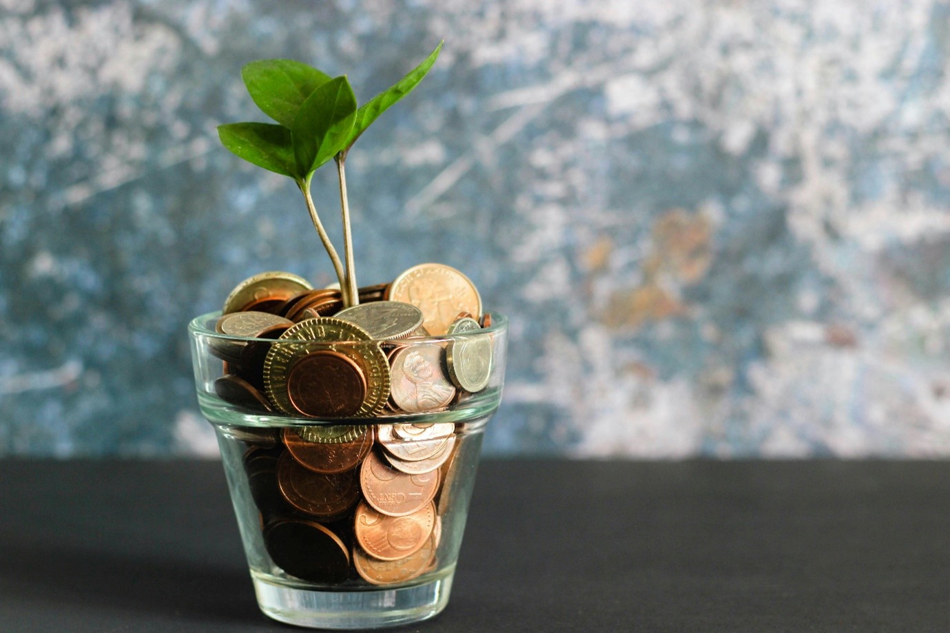 arbre dans verre avec pièces